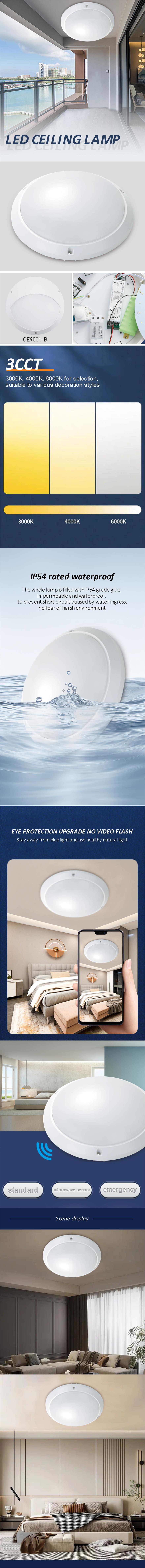 LED-9001. jpg