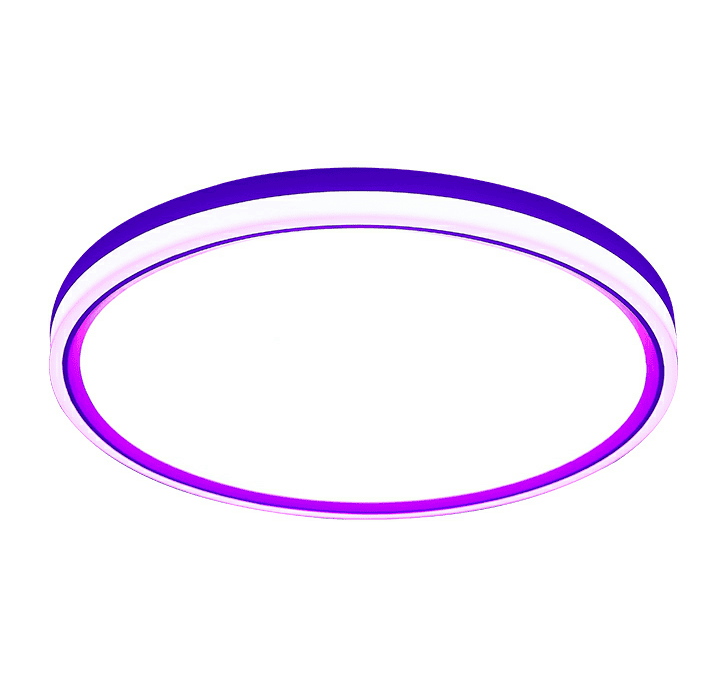 CCT+RGB+DIM TUYA Wifi LED Ceiling Lamp CE9151K 24W Modern Direct Light Emission AC Remote Control