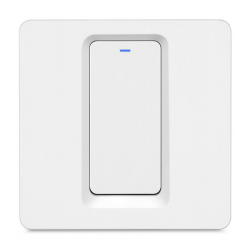 DS-MJK-W1-EU  The light mechanical switch
