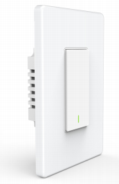 DS-MJK-W1-US  The light mechanical switch