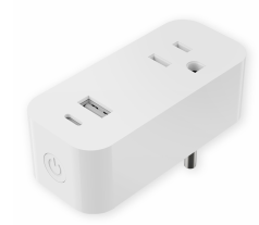 TS-MSF022-US The switch double Socket