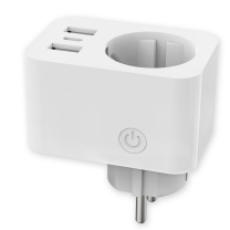 TS-MSF023-EU The switch socket & USB
