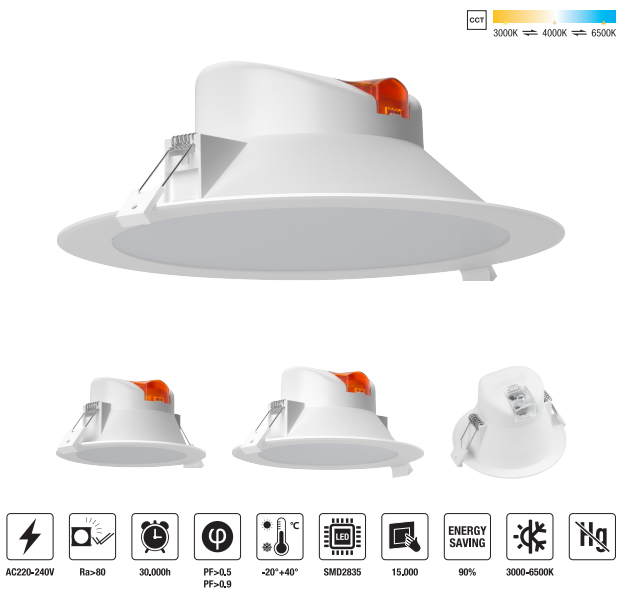 LED-DM-14W-CCT LED Down Light