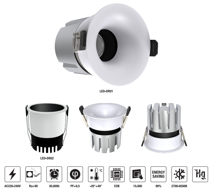 LED-DR01-8W LED Down Light