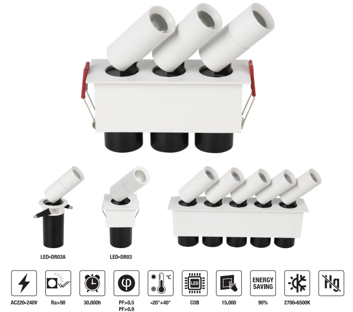 LED-DR03-2*5W LED Down Light