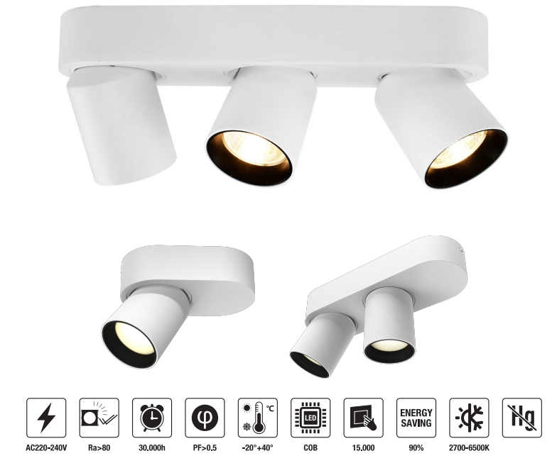 LED-DFT02A-20W 　LED Down Light