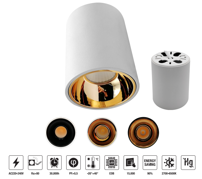 LED-DOMZ-18W LED Down Light