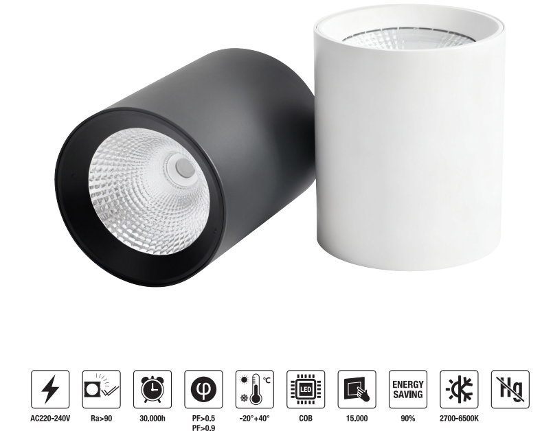 LED-DRMZ-20W 　LED Down Light