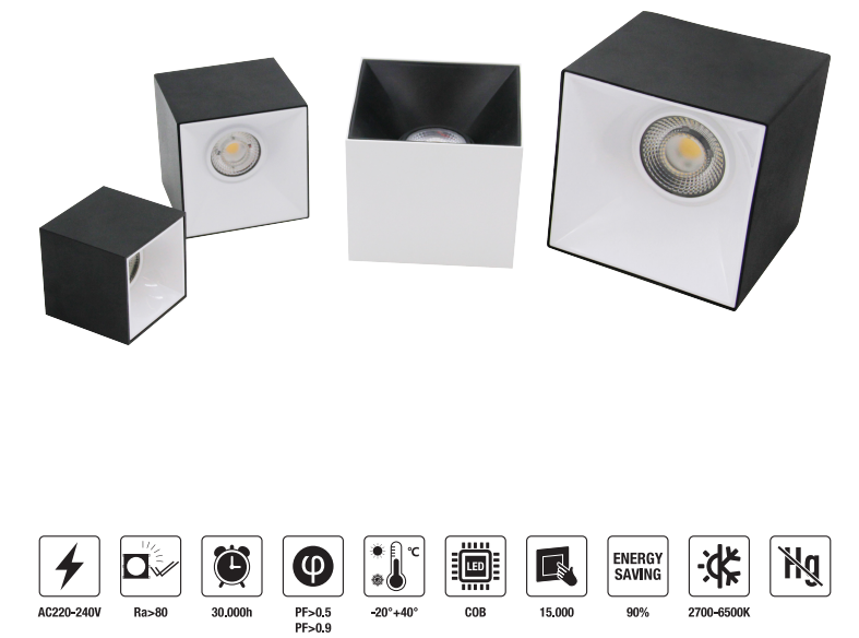 LED-DRMZ03-20W LED Down Light