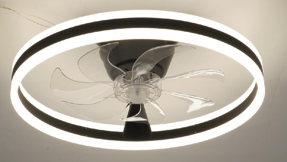 20'' bedroom ceiling fan light
