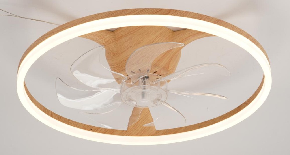 20'' bedroom ceiling fan light