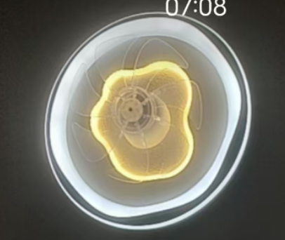 20w CCT dimming bedroom ceiling fan light remote control